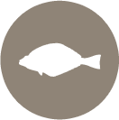 halibut-icon.png