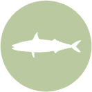 mackerel-icon.png