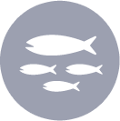 sardines-icon.png
