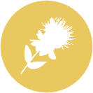 safflower-icons.png