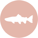 salmon-icon.png