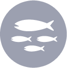 sardines-icon.png