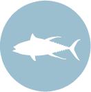 tuna-icon.png