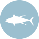 tuna-icon.png